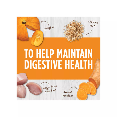 Instinct - Raw Boost Mixers Digestive Health 156g