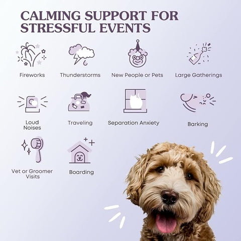 Fera - Calming Support for Dogs & Cats, Powder - 60 Servings
