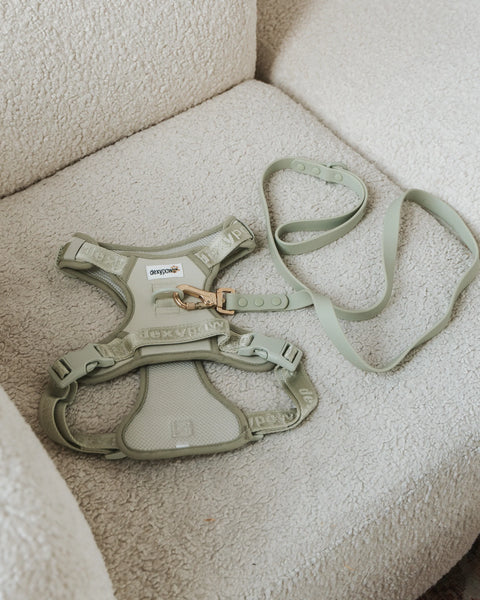 Dexypaws - No-Pull Dog Harness (Sage Green)
