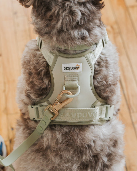 Dexypaws - No-Pull Dog Harness (Sage Green)