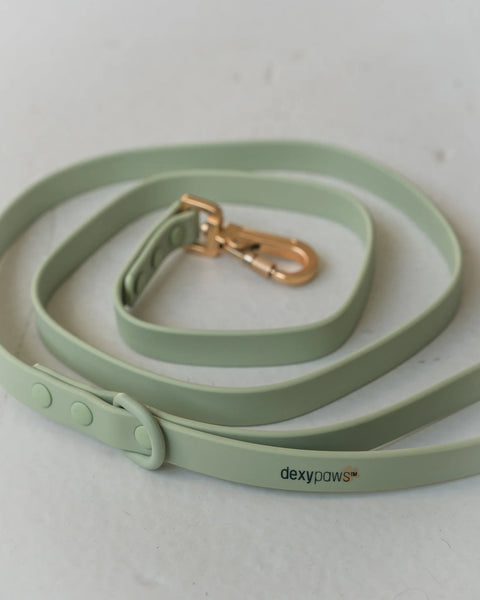 Dexypaws - Waterproof Dog Leash 6 ft (Sage Green)