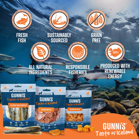 Gunni's Taste of Iceland - Salmon Skin Shorties 2oz