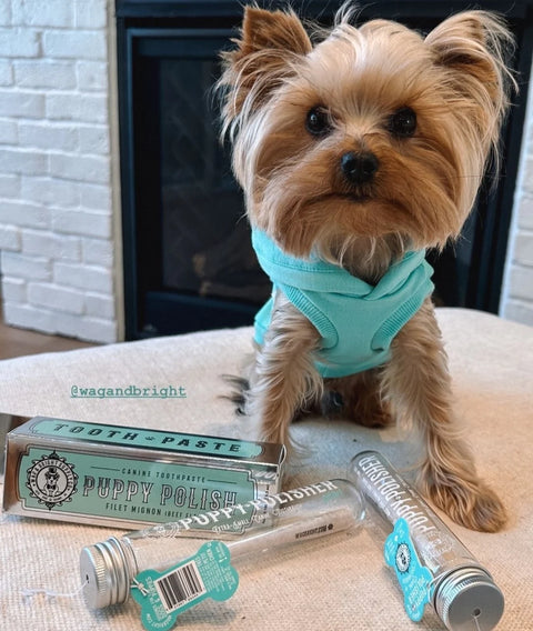 Wag & Bright Supply Puppy Polisher Eco Toothbrush (3 Sizes)
