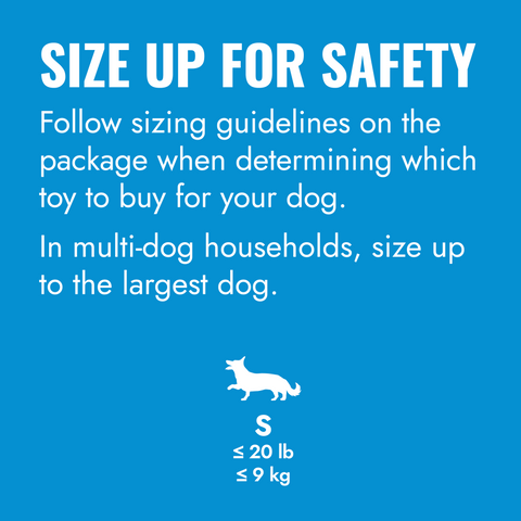 KONG - Puppy Flyer