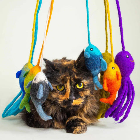 Karma - Wool Felt Cat Teaser - Fish Assort Colors