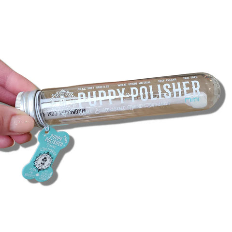 Wag & Bright Supply Puppy Polisher Eco Toothbrush (3 Sizes)