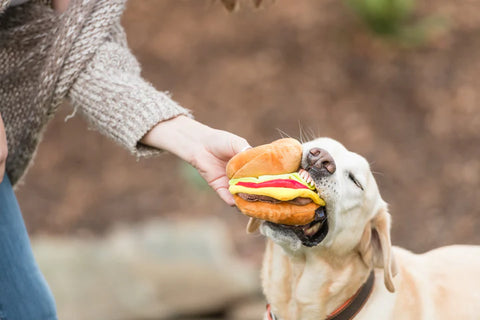 P.L.A.Y - American Classic Barky Burger