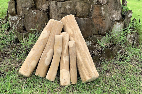 Puffin's Pets - Coffee wood chew (Medium/Large/Extra Large)