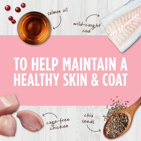 Instinct - Raw Boost Mixers Skin & Coat Health 156g