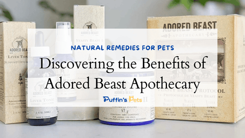 Natural Remedies for Pets: Discovering the Benefits of Adored Beast Apothecary