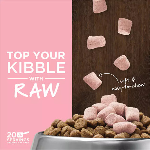 Instinct - Raw Boost Mixers GF FD Dog Food Topper Skin&Coat Health Recipe