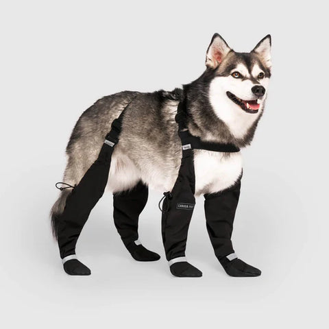 Canada Pooch® Suspender Boots