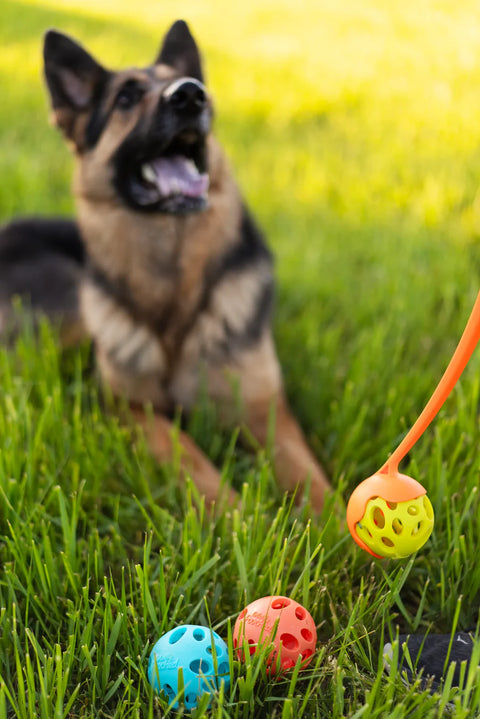 Messy Mutts - Totally Pooched Huff'n Puff Dog Ball, Size 2.5"