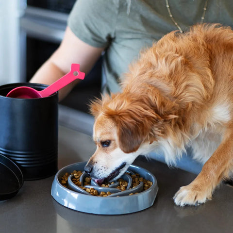 Messy Mutts - Interactive Slow Feeder, 1.75 Cup Capacity