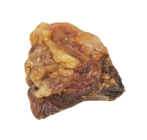 Gabo - Small Kneecap Dog 2-3in