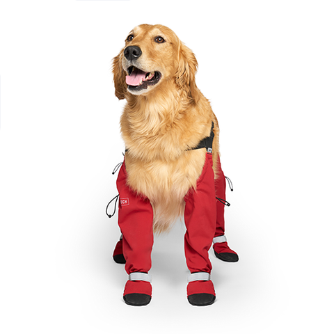 Canada Pooch® Suspender Boots