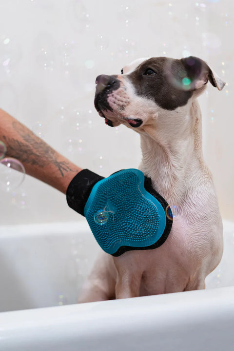 Messy Mutts - Reversible Silicone Pet Grooming Glove