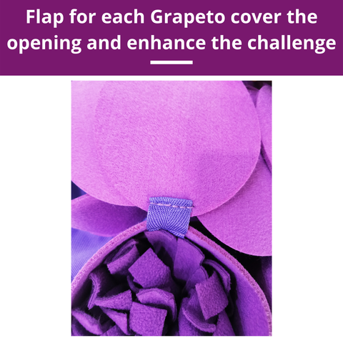 Forbidden Grapes ™ Snuffle Mat | Level 4 | Puzzle Mats