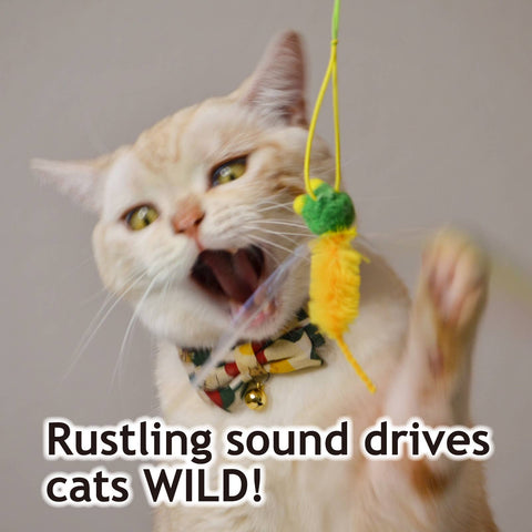 Crinkly Critters Bouncy Bee Adjustable Cat Wand