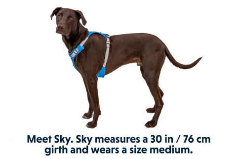 Ruffwear - Hi & Light™ Lightweight Dog Harness