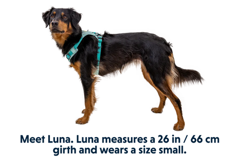 Ruffwear - Hi & Light™ Lightweight Dog Harness