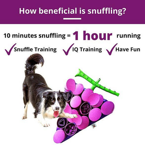 Forbidden Grapes ™ Snuffle Mat | Level 4 | Puzzle Mats