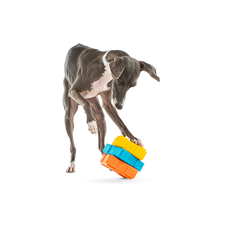 GURU® - Dog-X-Cube Dog Toy