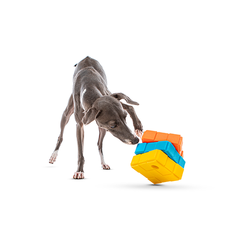 GURU® - Dog-X-Cube Dog Toy