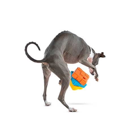 GURU® - Dog-X-Cube Dog Toy