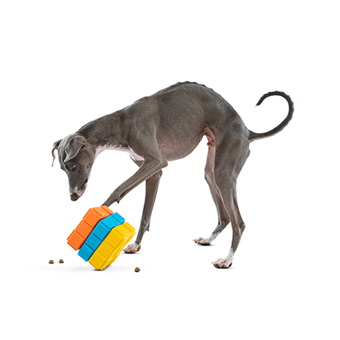 GURU® - Dog-X-Cube Dog Toy