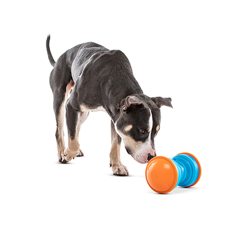 GURU® - Bouncer Large Dog Toy