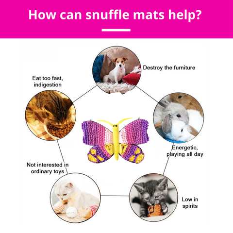 Radiant Butterfly™ Snuffle Mat | Level 3 | Dog Sniffing Mat
