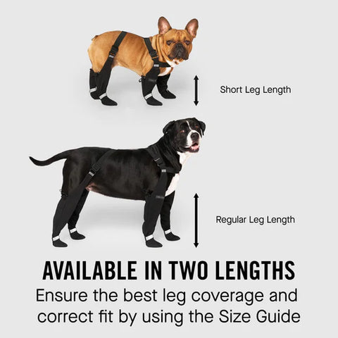 Canada Pooch® Suspender Boots