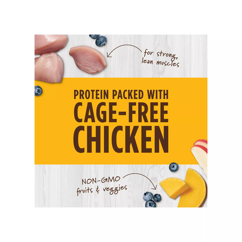 Instinct - Raw Boost Mixers Cage-Free Chicken Recipe 170g