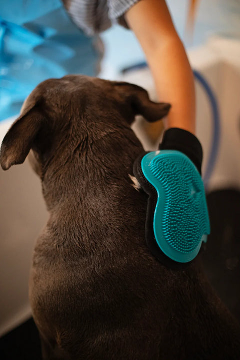 Messy Mutts - Reversible Silicone Pet Grooming Glove