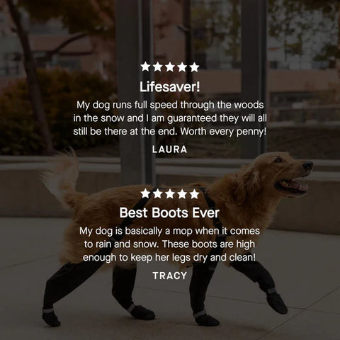 Canada Pooch® Suspender Boots