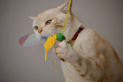 Crinkly Critters Bouncy Bee Adjustable Cat Wand