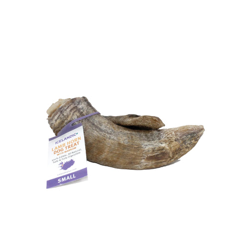 Icelandic+ - Small Lamb Horn with Marrow Dog Chew