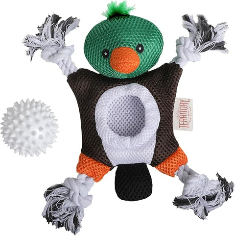 Territory - 2-In-1 Mallard Toy