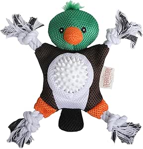 Territory - 2-In-1 Mallard Toy
