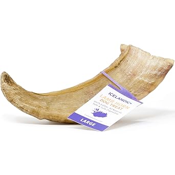 Icelandic+ - Large Lamb Horn Dog Chew