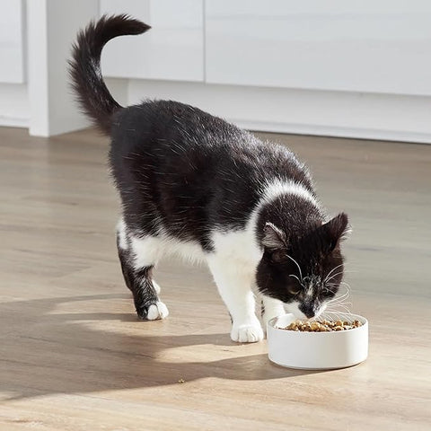 Open Farm® - RawMix Open Prairie Recipe Grain & Legume Free Dry Cat Food