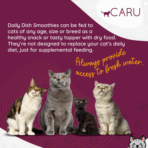 Caru - Daily Dish Smoothies Tuna & Salmon Recipe for Cats