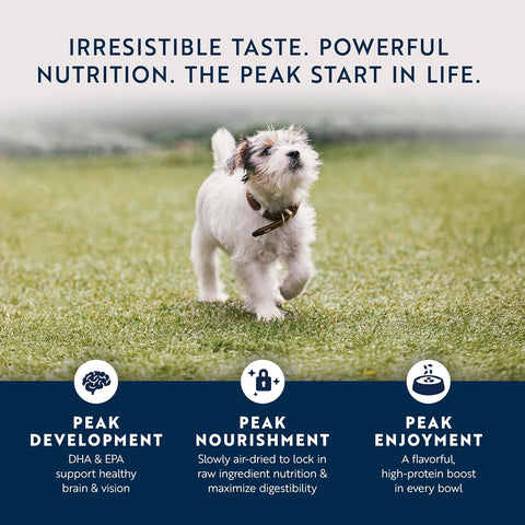 ZIWI -  Air-Dried Chicken & Lamb Recipe for Puppies (400 g)