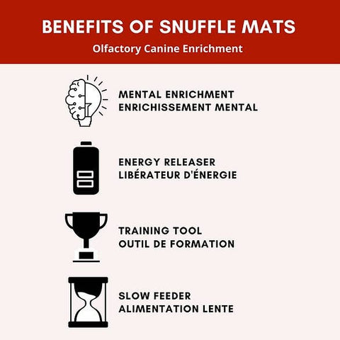 Challenger Bone™ Snuffle Mat |Level 4 for Mental Stimulation