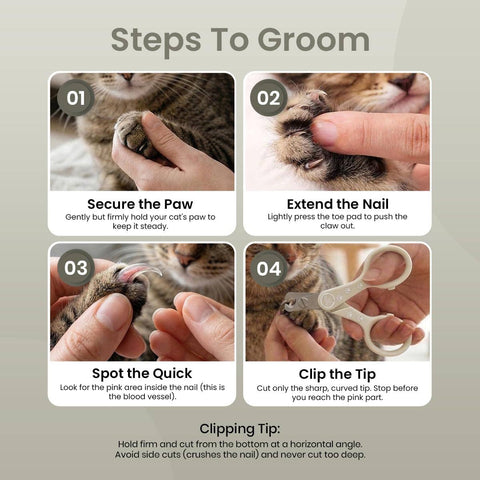 Purrcision Feline Nail Clippers(Basic, Gray)
