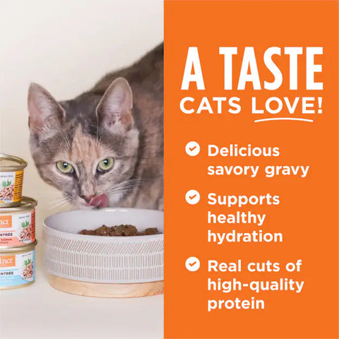 Instinct - Cat Wet Food: Original Grain Free Real Rabbit