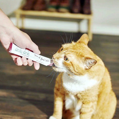 Caru - Daily Dish Smoothies Tuna & Salmon Recipe for Cats