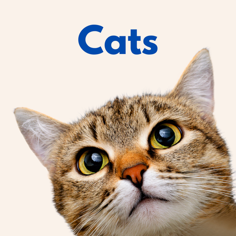 All Products for Cats
