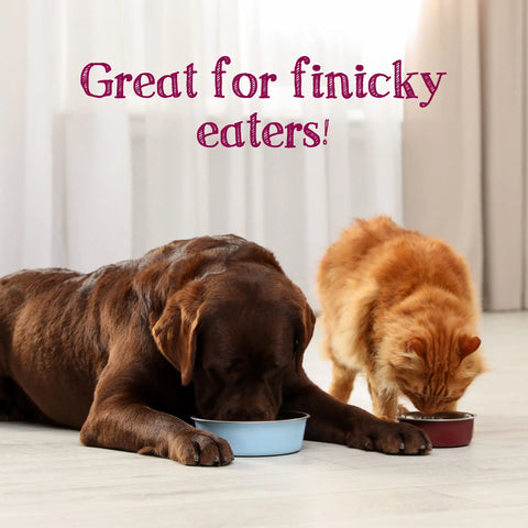 Caru - Classics Free Range Chinken Bone Broth for Dogs & Cats